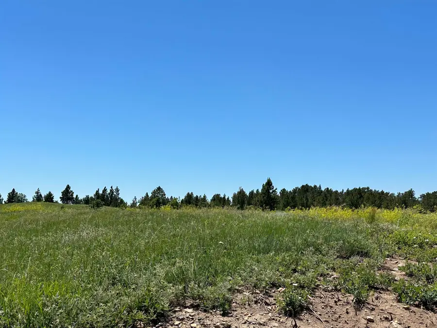 TBD Epic Lane, Sturgis, SD 57785 - #3