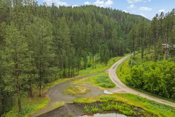 TBD Edelweiss Mountain Road, Silver City, SD 57702