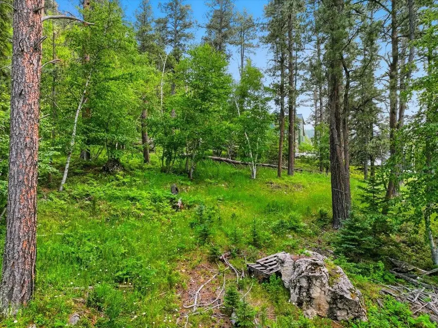 Lot 7 Hickok Place, Lead, SD 57754 - #3