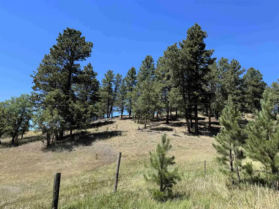 TBD Kimball Road, Aladdin, WY 82710 - #2