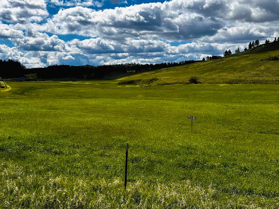 Lot 5 McVey RD, Hill City, SD 57745 - #2