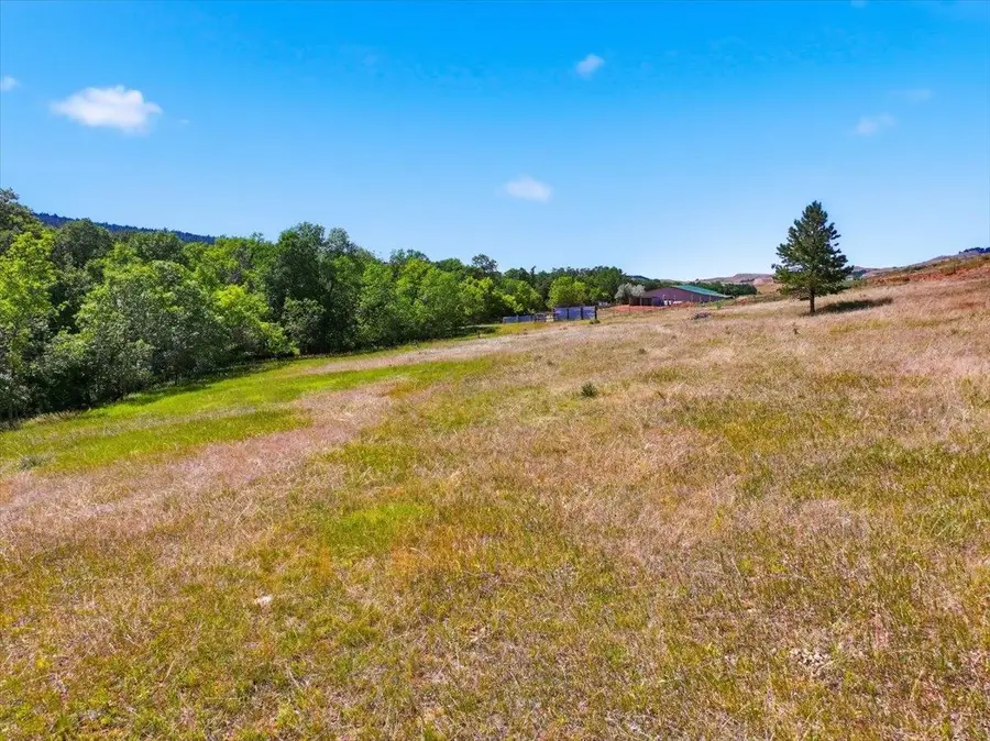 TBD Buffalo Berry Lane, Sturgis, SD 57785 - #2