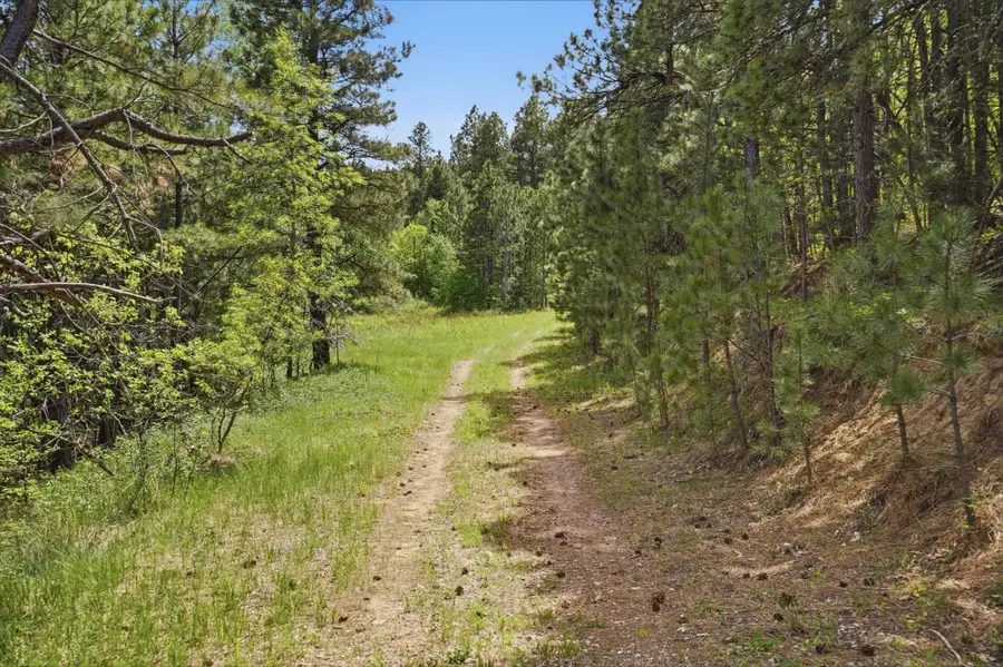 lot 30 Centennial Vista Avenue, Spearfish, SD 57783 - #3