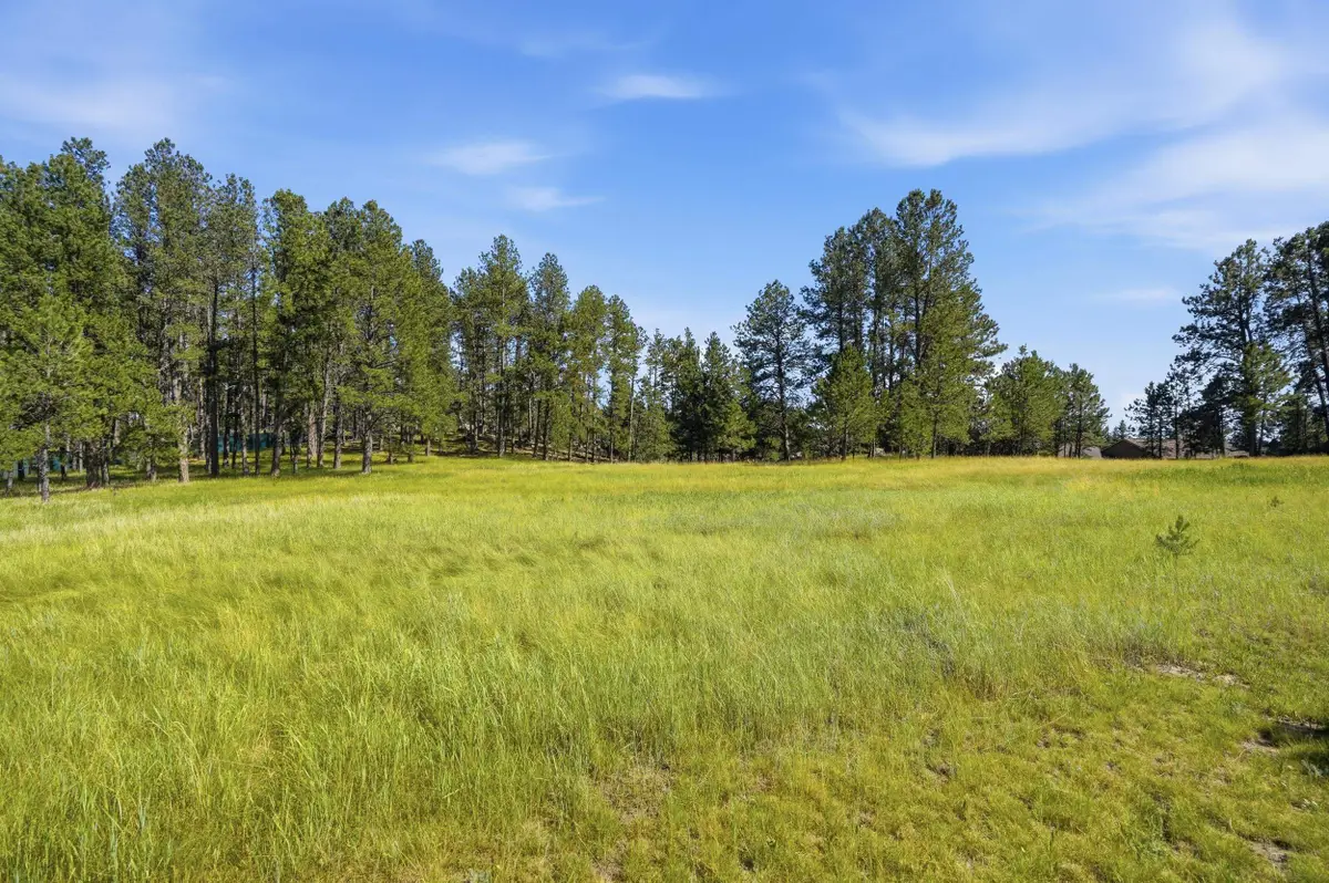 119 Surrey Lane, Custer, SD 57730 - #1
