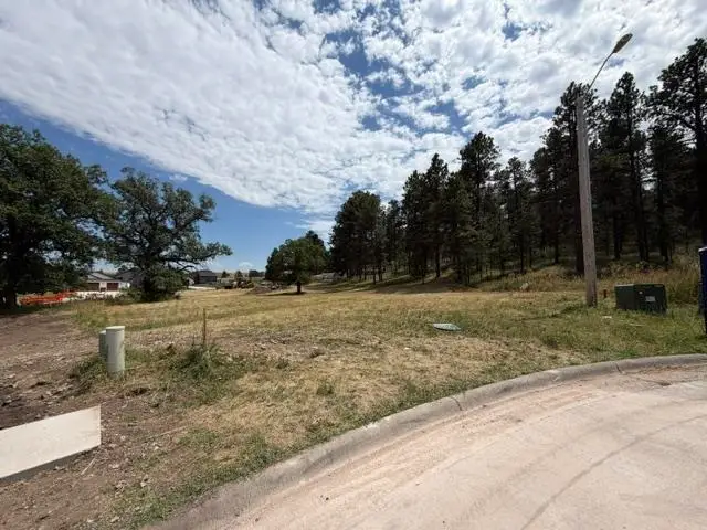 Lot 32,b1 Jarvis Court, Sturgis, SD 57785 - #2