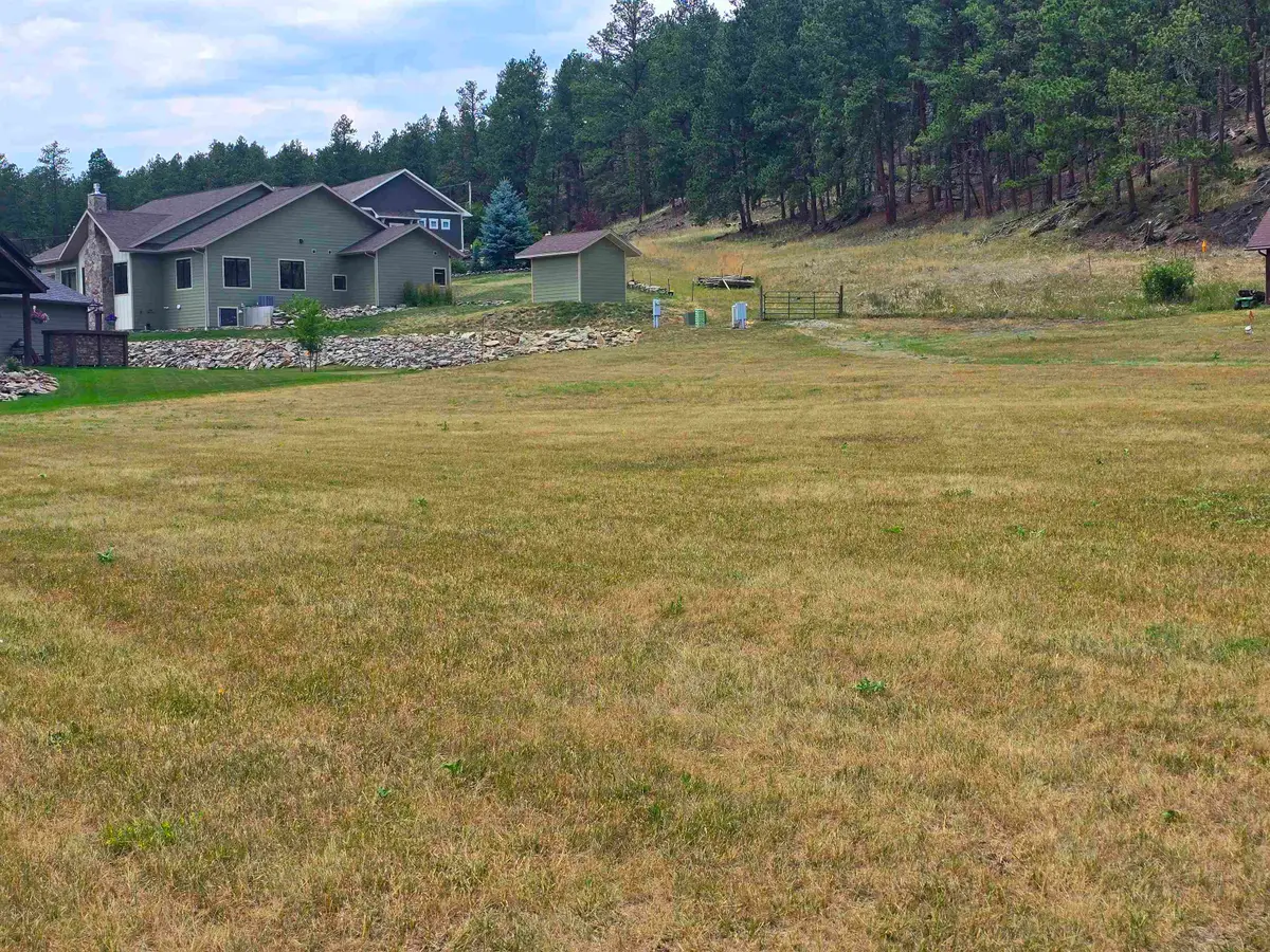 118 Minor Lake Circle, Hill City, SD 57745 - #1