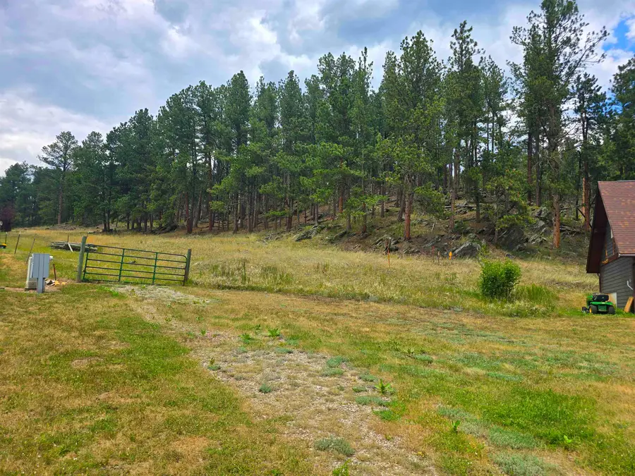 118 Minor Lake Circle, Hill City, SD 57745 - #2