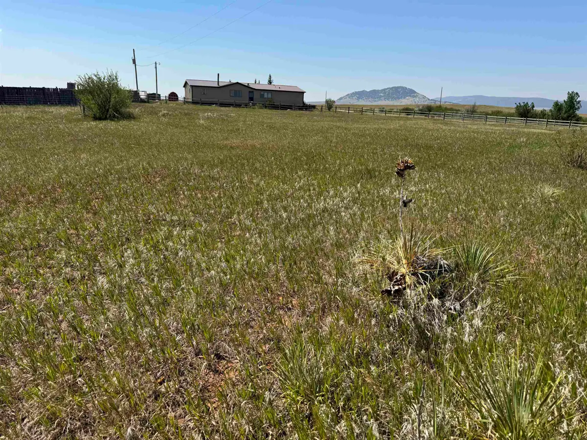 2323 Highway 585, Sundance, WY 82729 - #1