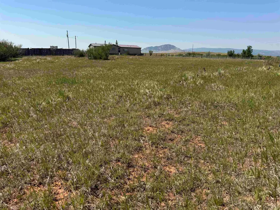 2323 Highway 585, Sundance, WY 82729 - #2