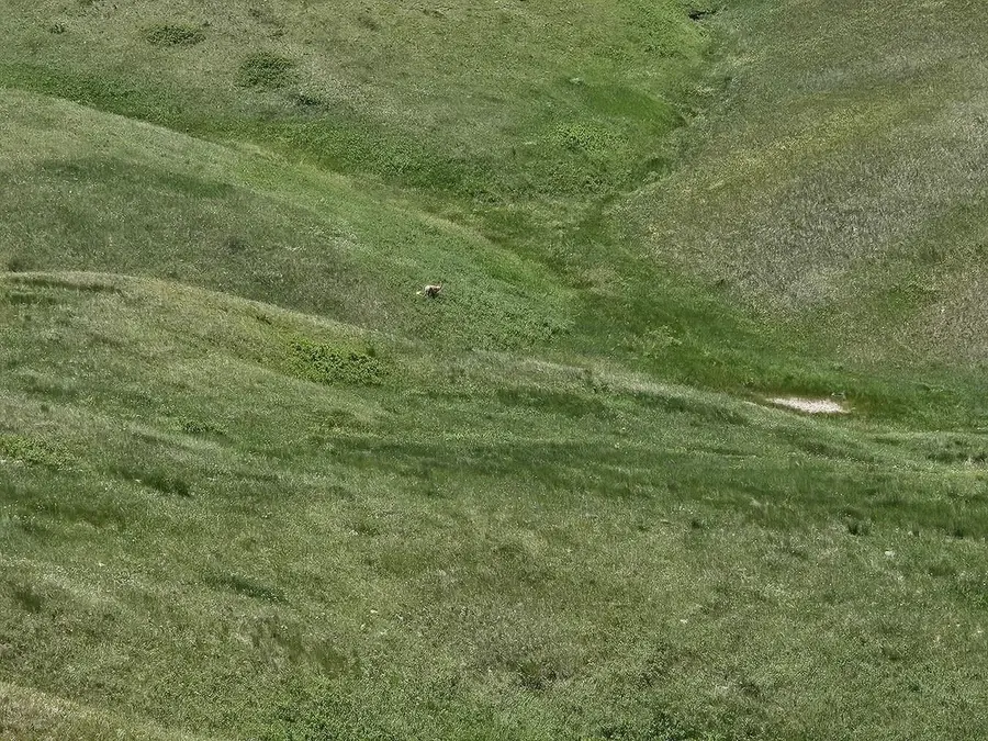 TBD 152nd Place, Box Elder, SD 57719 - #2