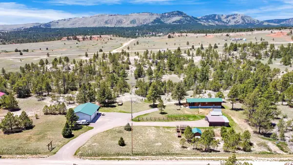 10297 Timber Trail, Edgemont, SD 57735