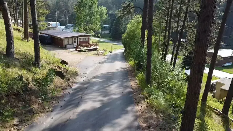 23747 Bluewing Recreational Area, Hill City, SD 57745 - #2