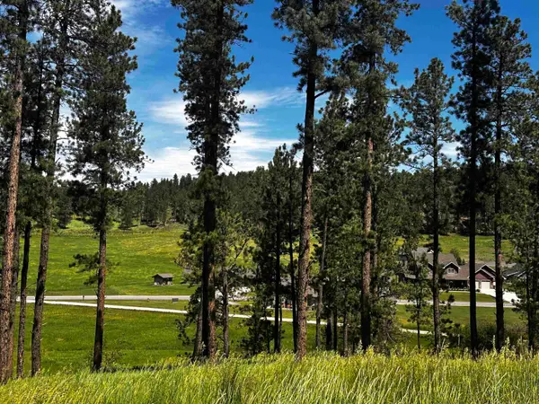 Blk 7 Lot 6, Hill City, SD 57745