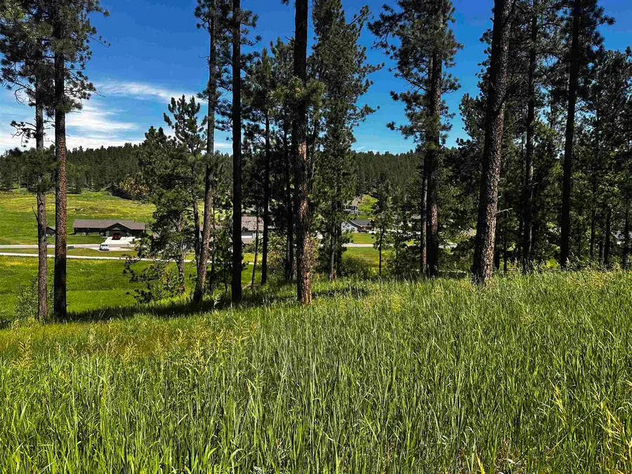 Blk 7 Lot 6, Hill City, SD 57745 - #2