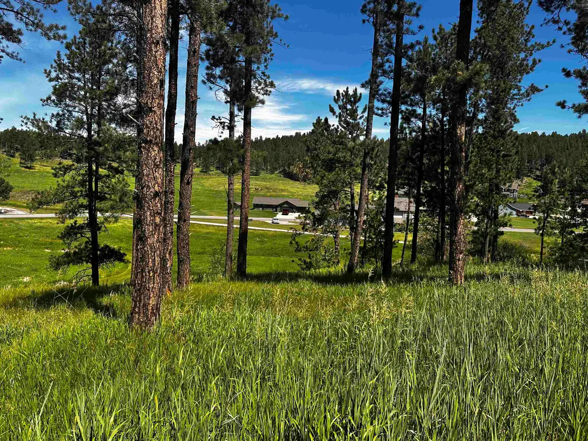 Blk 7 Lot 7, Hill City, SD 57745 - #1