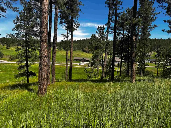 Blk 7 Lot 7, Hill City, SD 57745