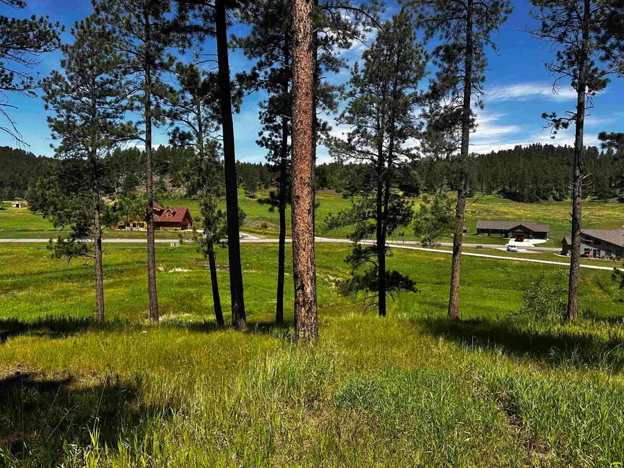 Blk 7 Lot 7, Hill City, SD 57745 - #2