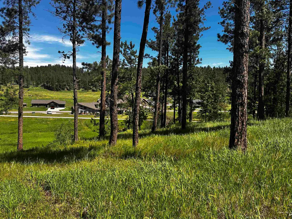 Blk 7 Lot 8, Hill City, SD 57745 - #1