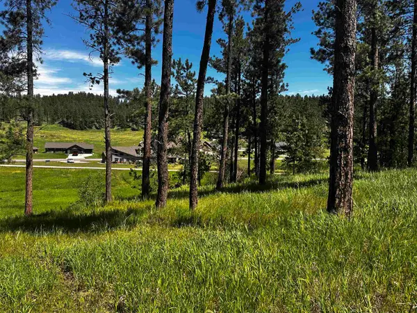 Blk 7 Lot 8, Hill City, SD 57745