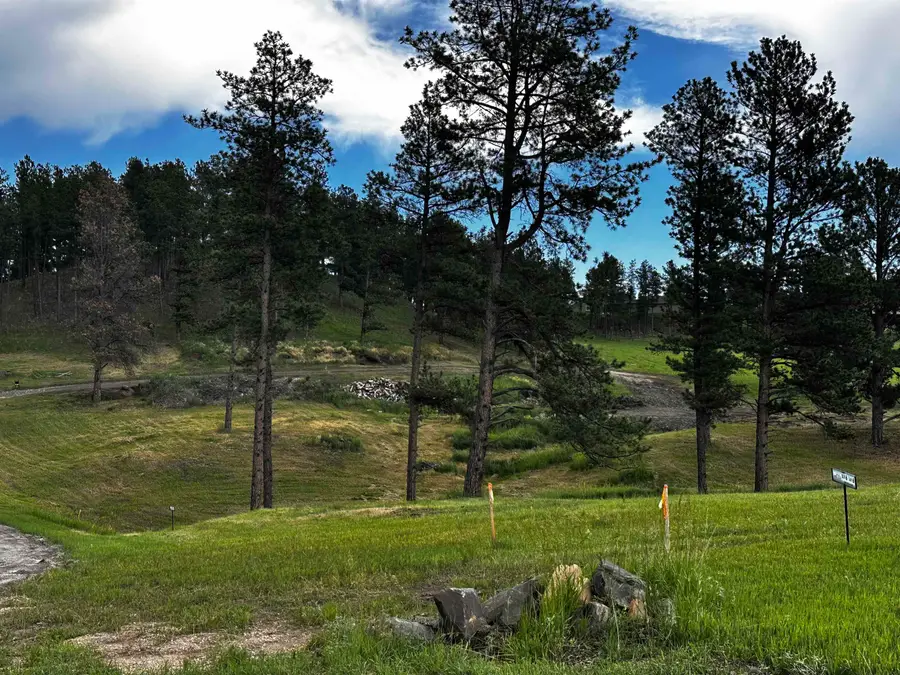 Blk 7 Lot 8, Hill City, SD 57745 - #2