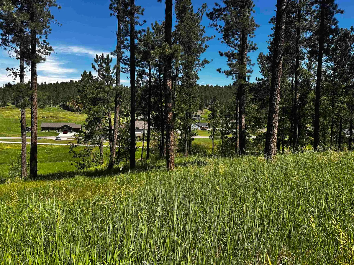 Blk 7 Lot 9, Hill City, SD 57745 - #1