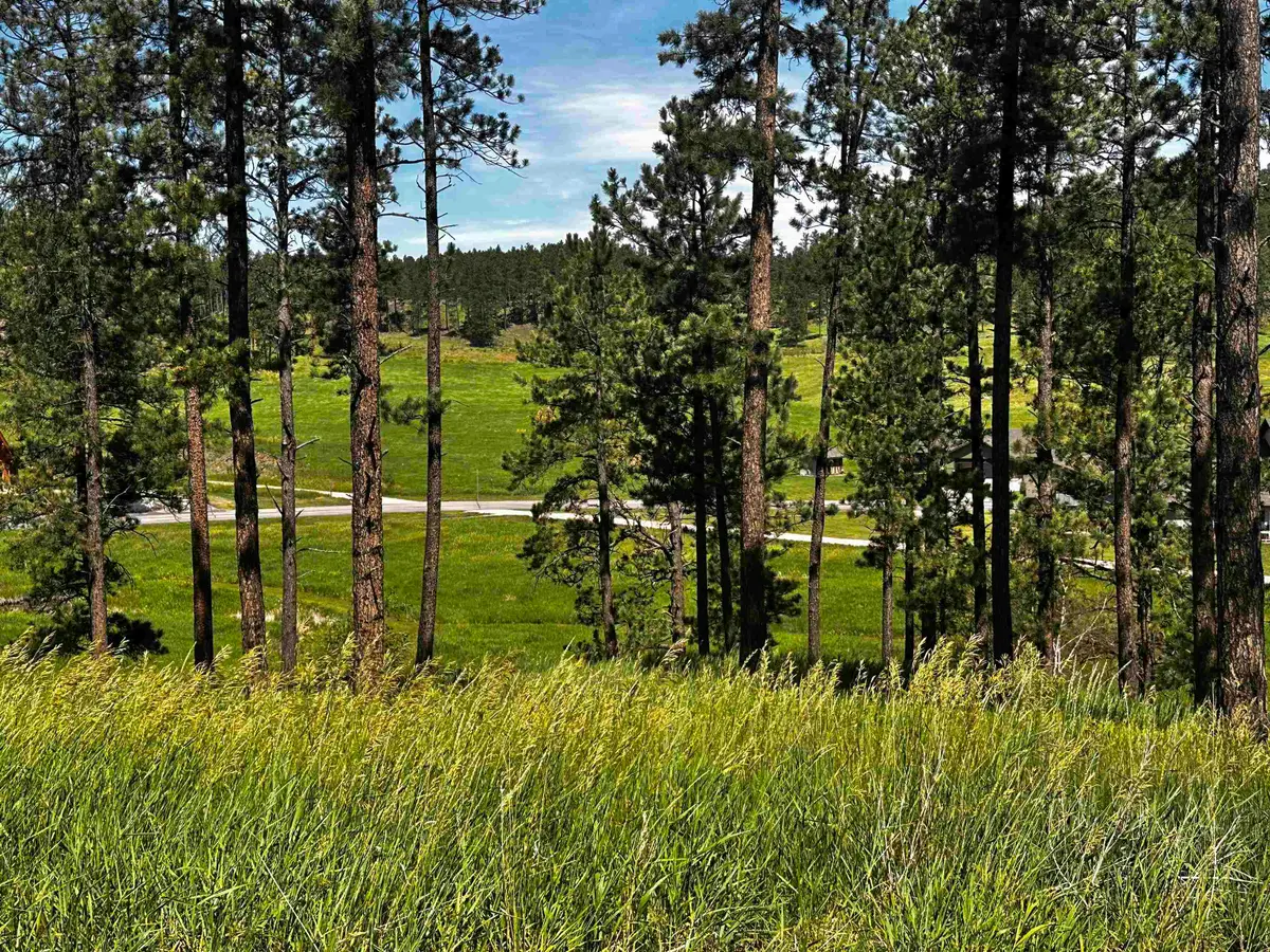 Blk 6 Lot 19, Hill City, SD 57745 - #1