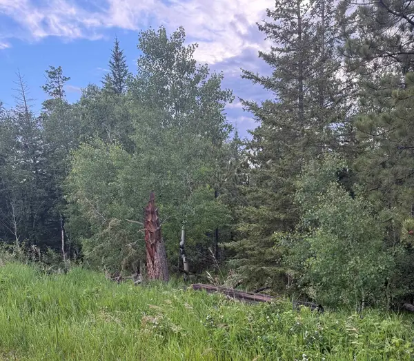 Address Withheld By Seller, Lead, SD 57754