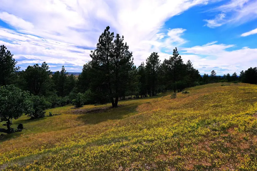 TBD Majestic Vi, Aladdin, WY 82710 - #2