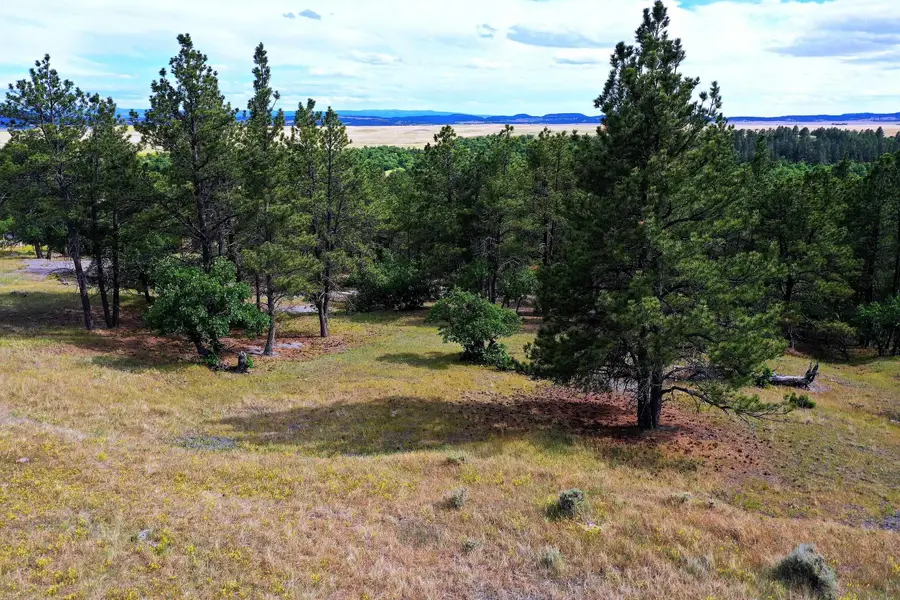 TBD Majestic Vi, Aladdin, WY 82710 - #3