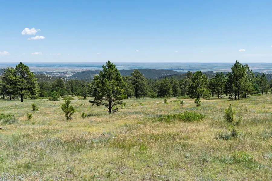Lot 15A Joy Drive, Hot Springs, SD 57747 - #3