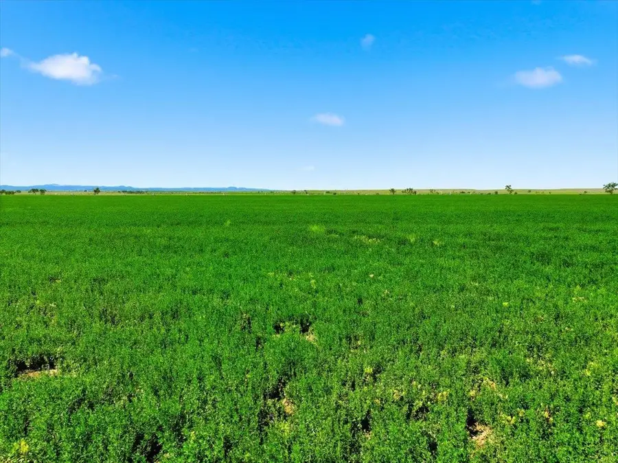 TBD Baker Street, Nisland, SD 57762 - #3