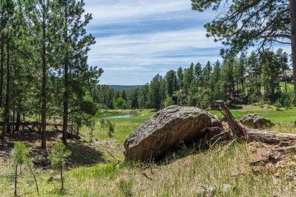 12325 Bonanza Road, Custer, SD 57730