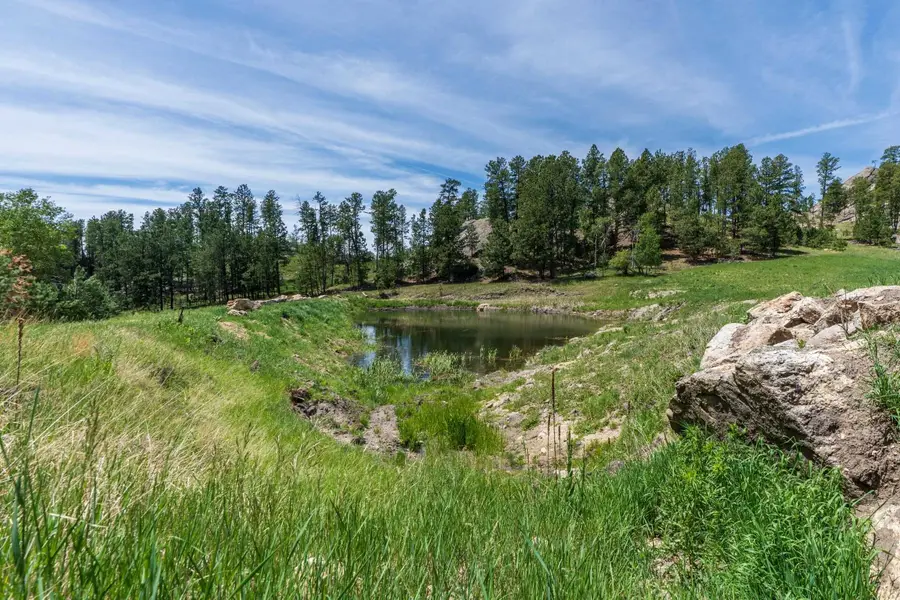 12325 Bonanza Road, Custer, SD 57730 - #2