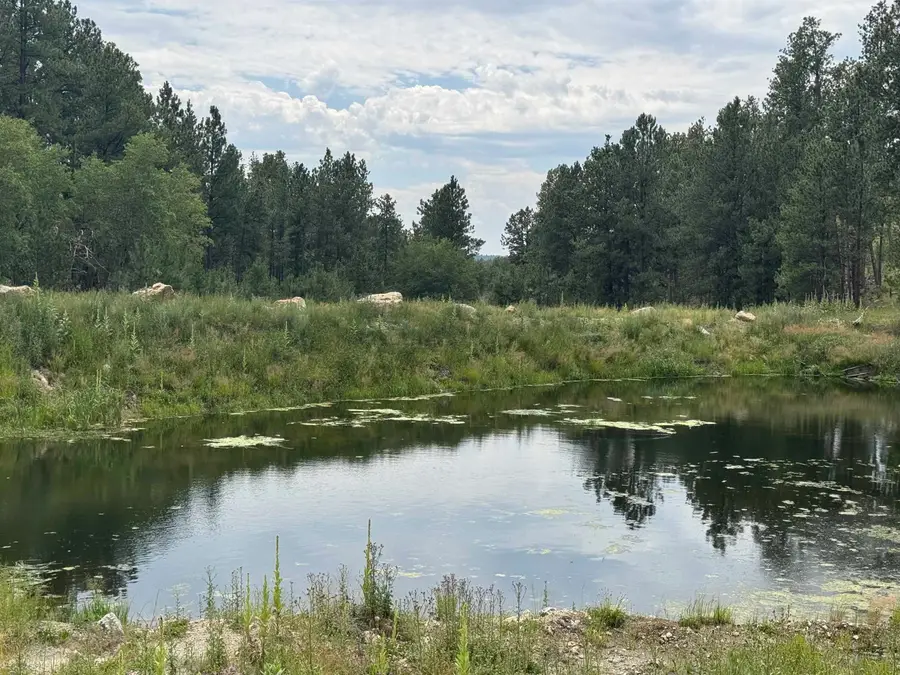12325 Bonanza Road, Custer, SD 57730 - #3