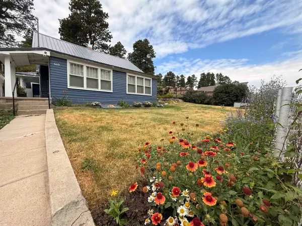 609 Samo Street, Lead, SD 57754