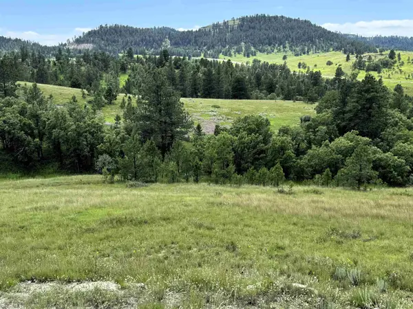 Tract 3 Painted Horse Road, Hulett, WY 82720