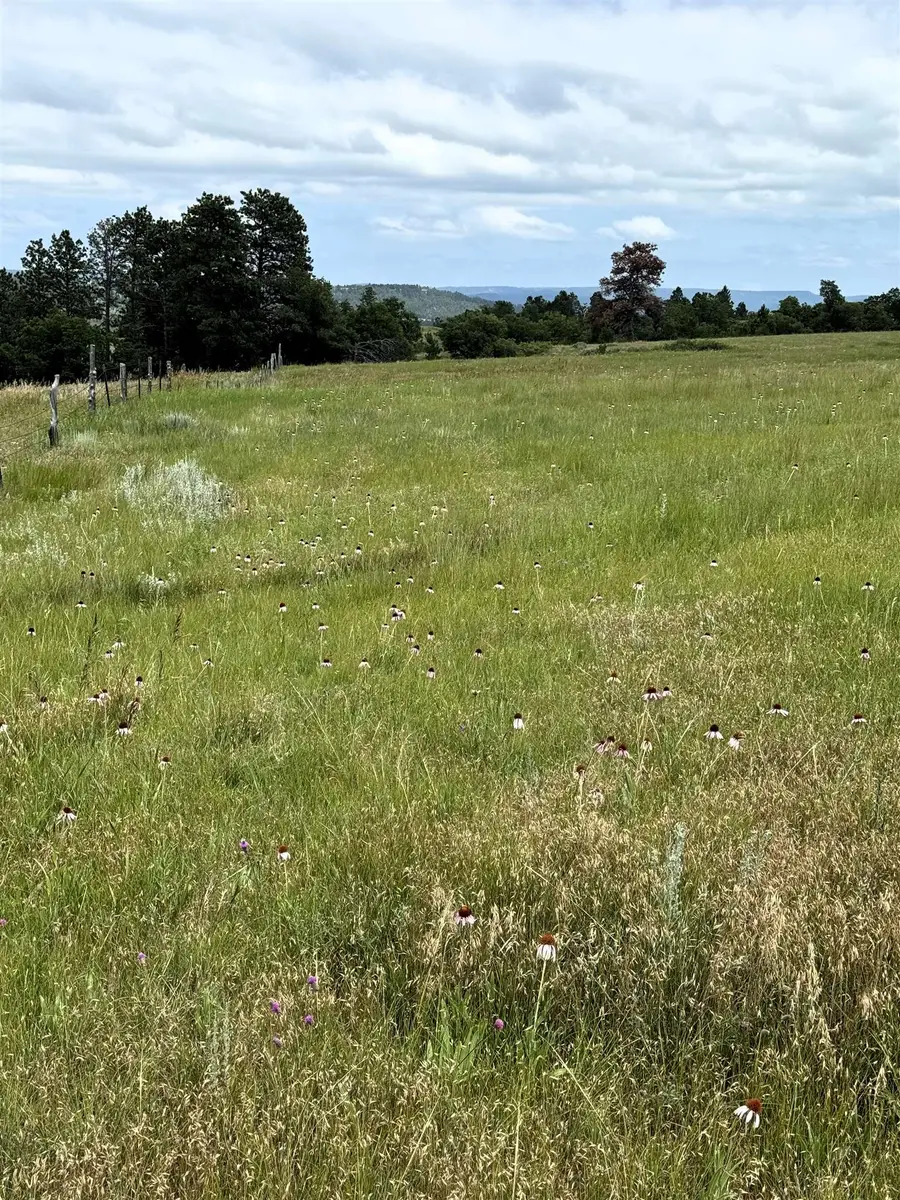 Tract 3 Painted Horse Road, Hulett, WY 82720 - #3