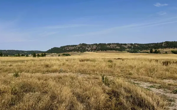 Tract 4 Painted Horse Road, Hulett, WY 82720