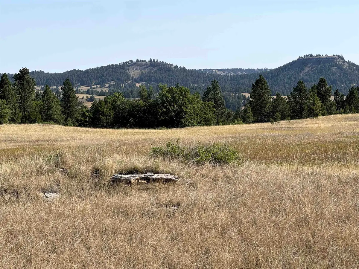 Tract 8 Painted Horse Road, Hulett, WY 82720 - #1