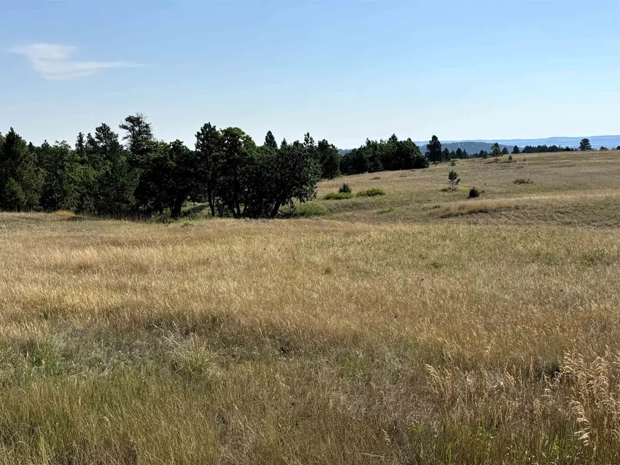 Tract 8 Painted Horse Road, Hulett, WY 82720 - #2