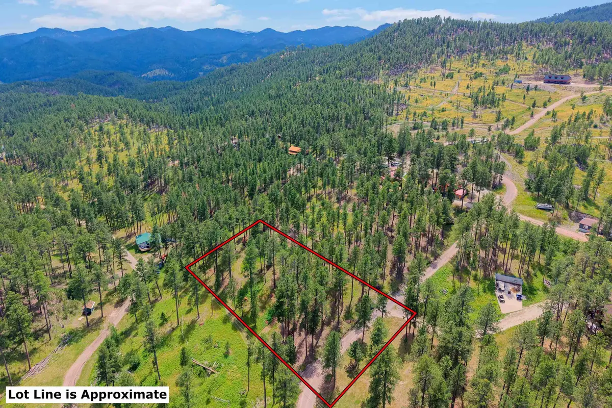Lot 10 Sunnyside Gulch Road, Silver City, SD 57702 - #1