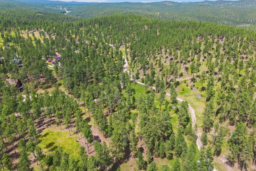 Lot 10 Sunnyside Gulch Road, Silver City, SD 57702 - #2