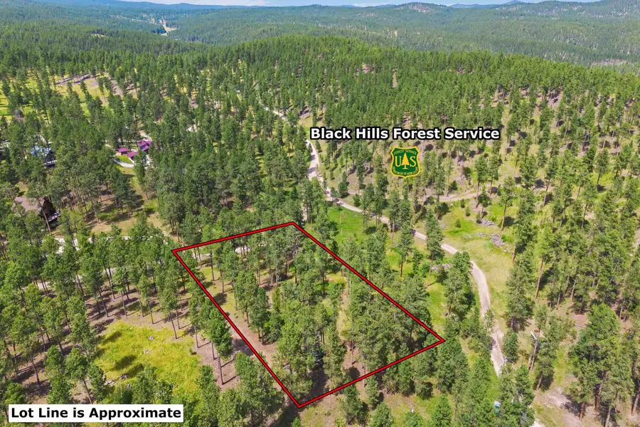 Lot 10 Sunnyside Gulch Road, Silver City, SD 57702 - #3