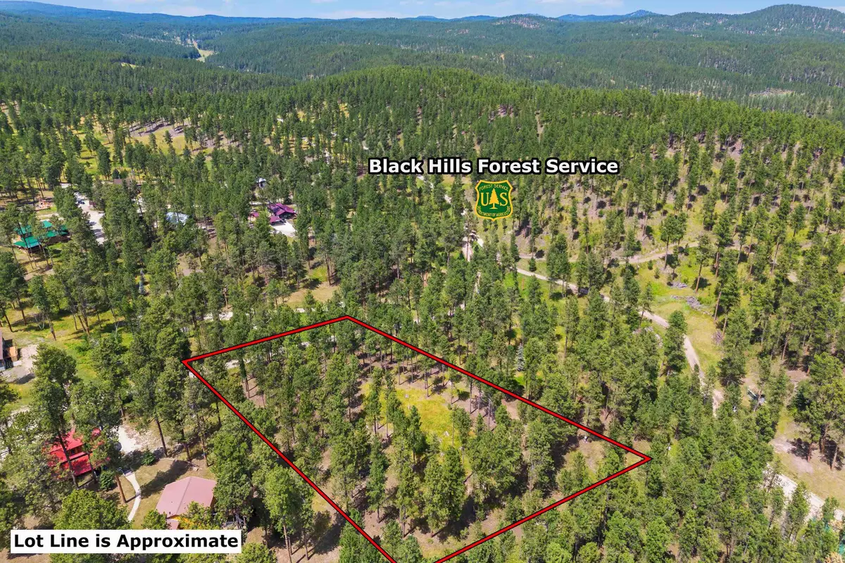 Lot 11 Sunnyside Gulch Road, Silver City, SD 57702 - #1