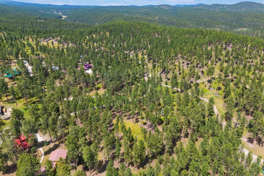 Lot 11 Sunnyside Gulch Road, Silver City, SD 57702 - #2
