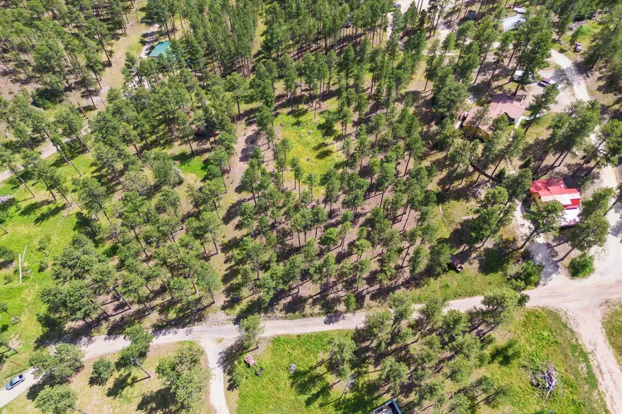 Lot 11 Sunnyside Gulch Road, Silver City, SD 57702 - #3