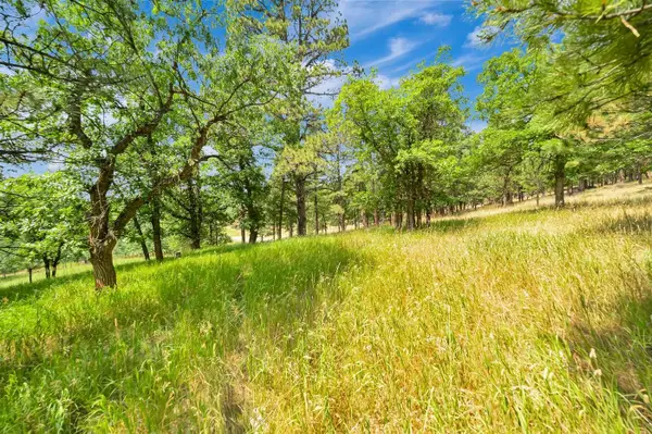 Lot 39 Ticklegrass Road, Sturgis, SD 57785