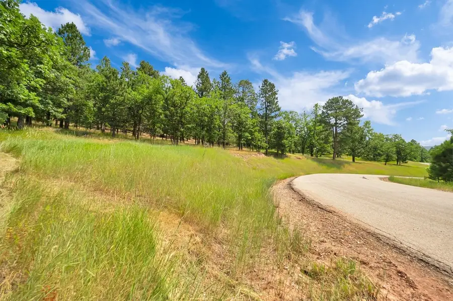 Lot 39 Ticklegrass Road, Sturgis, SD 57785 - #2