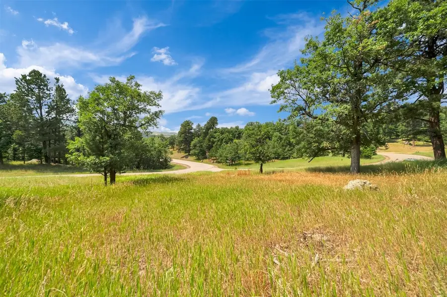 Lot 39 Ticklegrass Road, Sturgis, SD 57785 - #3