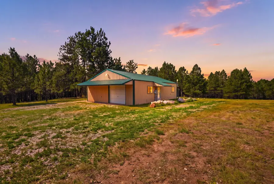 11863 W Argyle Road, Custer, SD 57730 - #3